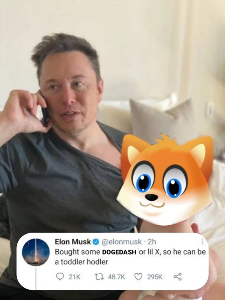 0xpro tweet media