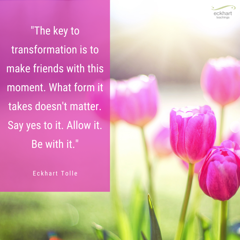 EckhartTolle tweet picture