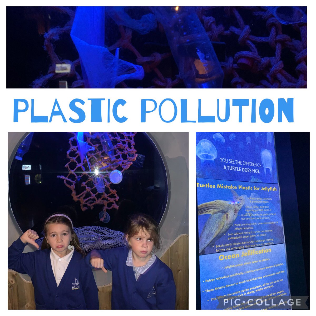 whitegateeco's tweet photo. 🌊 ♻️ As we walked around Blue Planet, we were constantly reminded of the damage and dangers caused by plastic pollution. As a school, we pledge to help reduce our use of single use plastic. 🌊 ♻️ @BluePlanetUK @SchoolWhitegate https://t.co/J1FNv5maoN