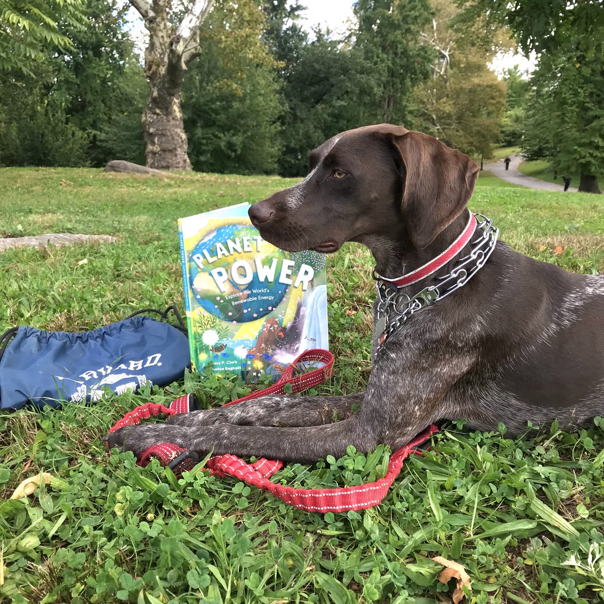 ⤵️ Unimpressed that ⁦<a href="/Sen_JoeManchin/">Senator Joe Manchin</a>⁩ is late for story time.

Six renewable technologies can power the planet and end our dependence on dirty, dangerous #fossilfuels.

#windpower
#Waterpower
#Solarpower
#geothermal
#TidalPower
#Hydropower
#wavepower

#Renewableenergy