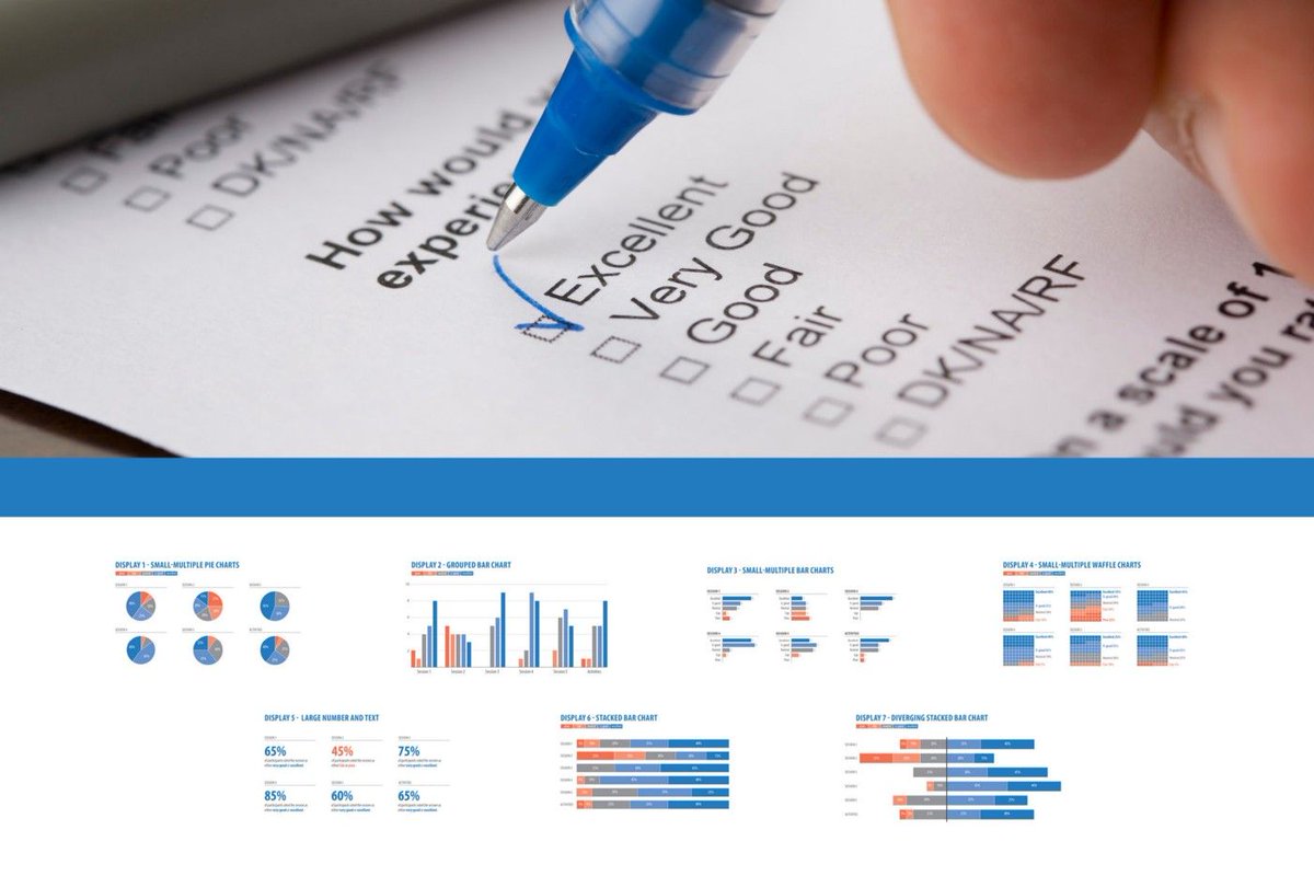Data Visualization Society tweet media