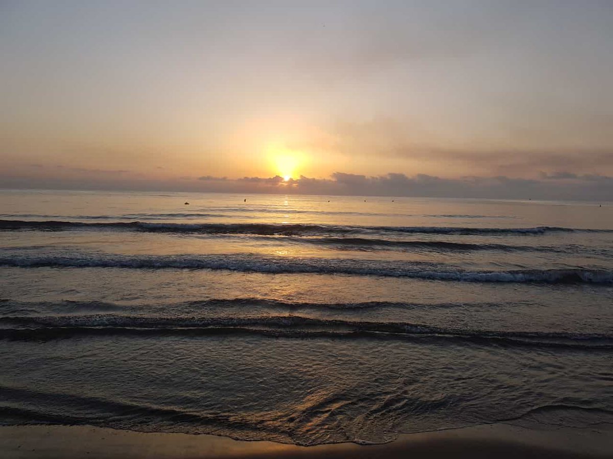 terravivaapunt's tweet photo. Gràcies als espectadors i espectadores que ens envien cada setmana aquestes fotos, podem gaudir d'unes meravelloses imatges de diferents punts de la Comunitat Valenciana.
#TerraViva #Tabarca #Beneixida #Titaigües #ComunitatValenciana https://t.co/2AMuMs0ApY