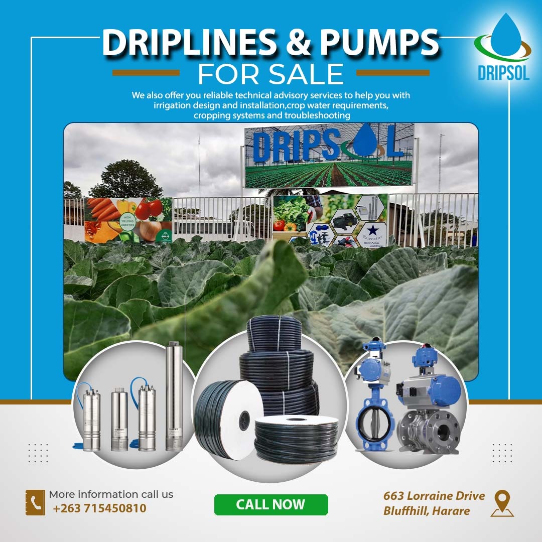 dripsolutionzw's tweet photo. Quality and Durable Driplines and Pumps for sale... For your Pressure compensated  drip line and Non-Pressure compensated Dripline look no further!! 
Call us today: +263 78 239 5484 , +263 71 545 0810 https://t.co/ntZMJbPyqe