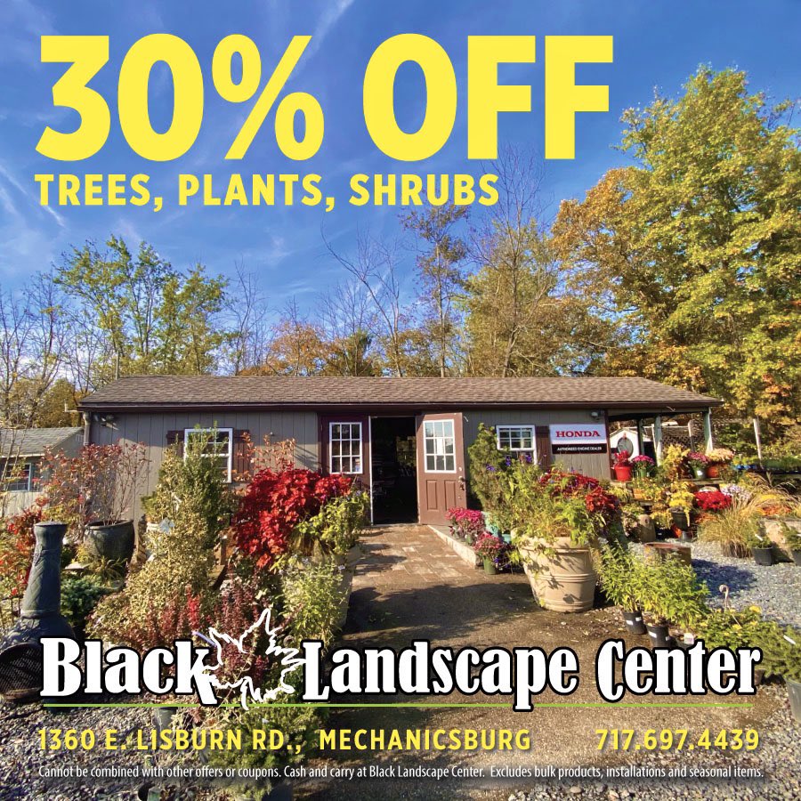 blacklandscape's tweet photo. Happy Monday! 

Did you miss our huge sale this past weekend?? 

Not to worry… our Fall Sale is still 𝟯𝟬% 𝗢𝗙𝗙 all trees, plants and shrubs! Stop by our #LandscapeCenter to see the amazing selection we have in stock. https://t.co/xCAM8GKZKi