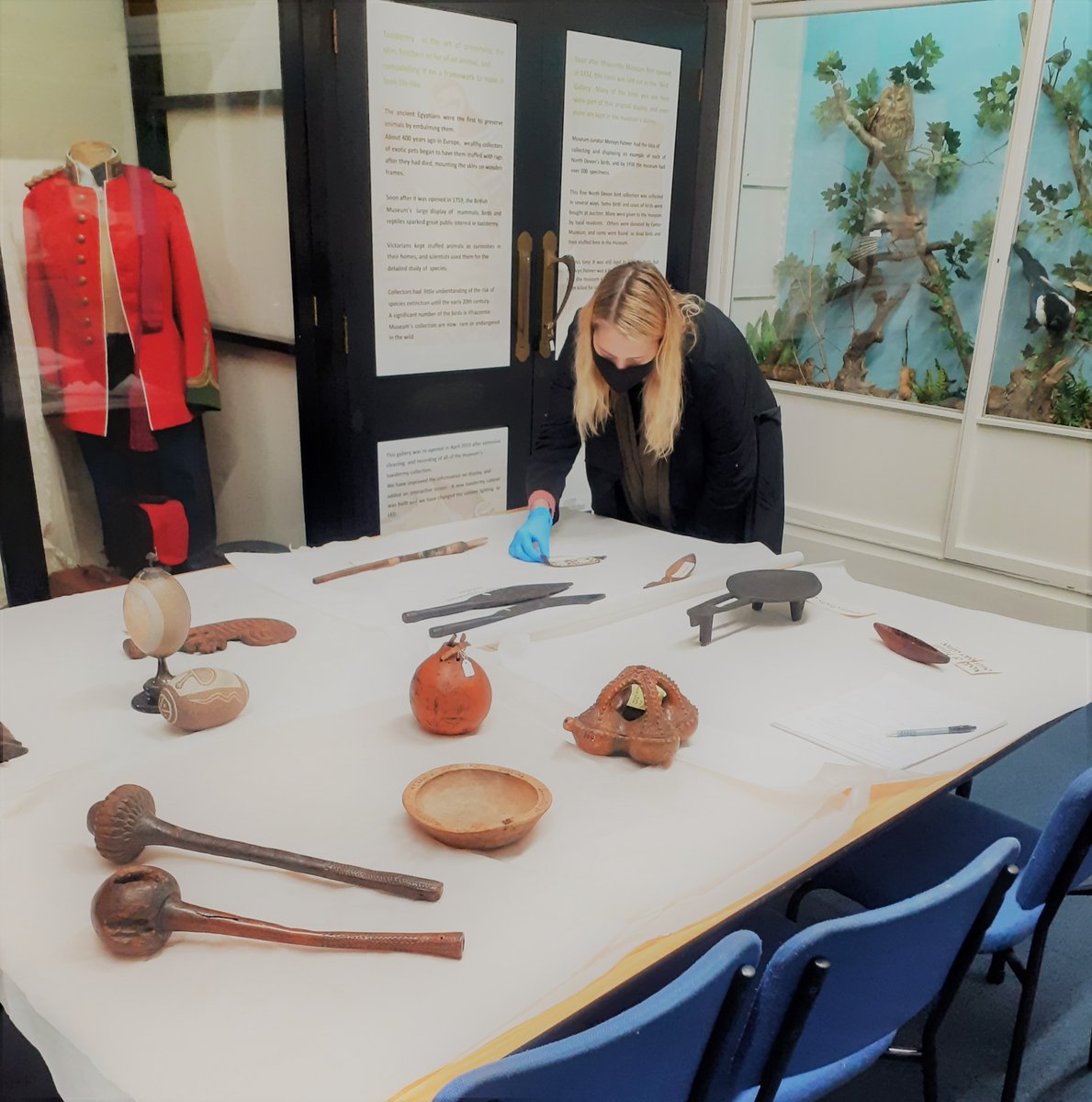 Ilfracombe Museum tweet media