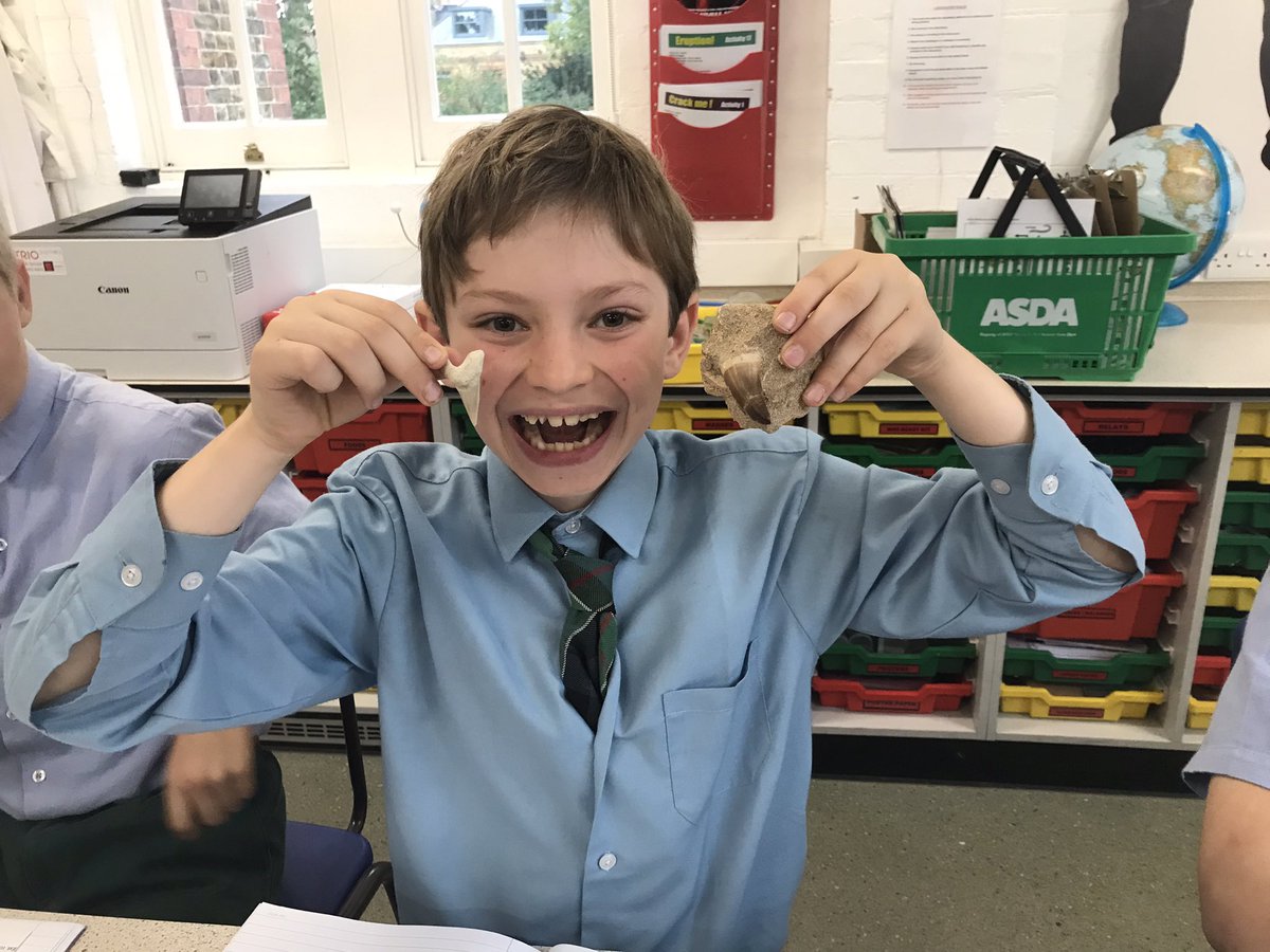 #NWSnlForm2 #NWSnlScience Fossilised mosasaur tooth and shark tooth from the late Cretaceous period. Also fine specimens of as-yet unfossilised teeth from the early 21st century period!