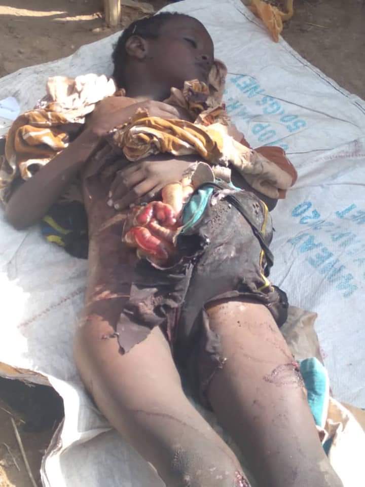 Sultan_Abagissa's tweet photo. They say their only interest is the safety of all 🇪🇹ns, while persistently ignoring the sufferings brought by #TPLF &amp; its evil wars on #Amhara &amp; #Afar #TPLFTerroristGroup #WesternHypocracy @JoeBiden @Reuters @StateDept @SecBlinken https://t.co/FN9p1FSvfR