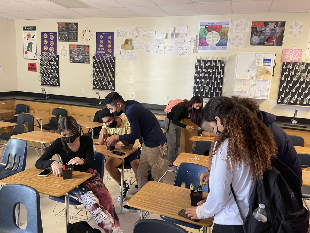 MHS-stings (@stings_mhs) on Twitter photo All of our radish seeds germinated last week and we spent time cutting off the extra planted seed. Later this week we will be collecting our first set of data for the <a href="/GrowBeyondEarth/">Growing Beyond EarthⓇ</a> @FairchdChallnge 🌱 All of our radish seeds germinated last week and we spent time cutting off the extra planted seed. Later this week we will be collecting our first set of data for the <a href="/GrowBeyondEarth/">Growing Beyond EarthⓇ</a> @FairchdChallnge 🌱
