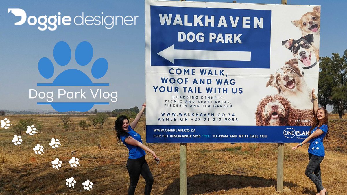We did a thing! 🐾🐾🐾
Check it out:

youtube.com/watch?v=eMava2…

#dogsoftwitter #YouTuber #mondaymotivation #dogs