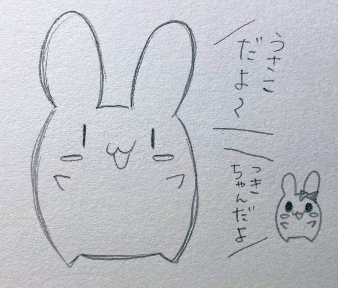 「うさこ」と「つきちゃん」の違い。
………違いあまりないです(笑) 