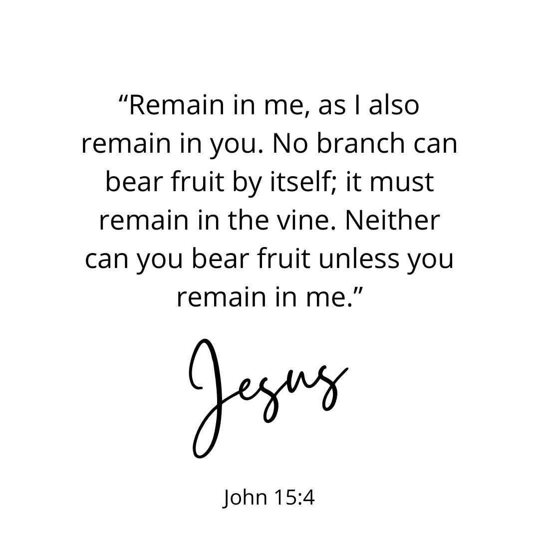coachedbymillie's tweet photo. Keep your relationship and partnership with the Lord tighter than any other relationship and partnership in your life 💯🔥🙌🏾🍇
#mondaymotivation #MondayThought #business #Jesus https://t.co/lxh6Npy79Y