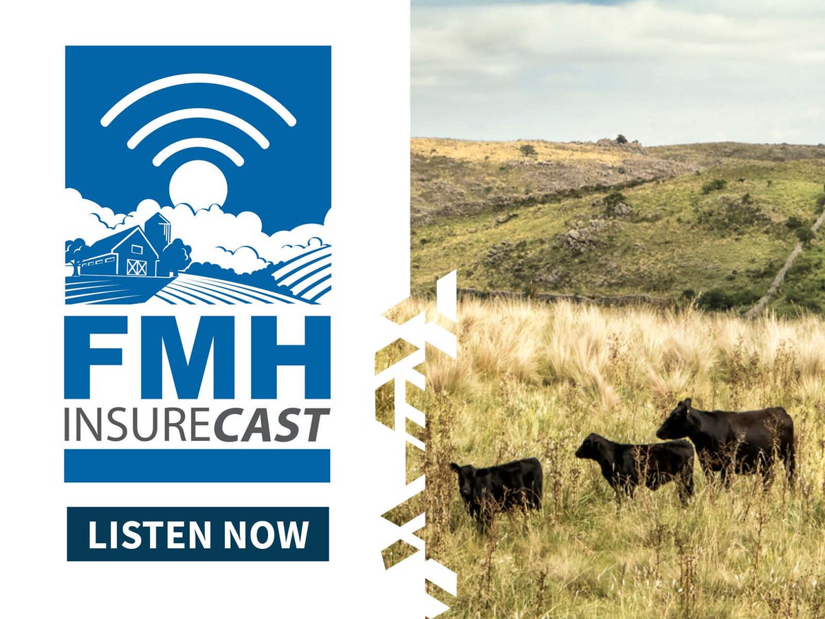 FMHins's tweet photo. What do rainfall index products like PRF and Apiculture cover? Find out how they work and why they've gained in popularity in our latest podcast episode: https://t.co/pn6X1CVghK https://t.co/u3deSW63j6