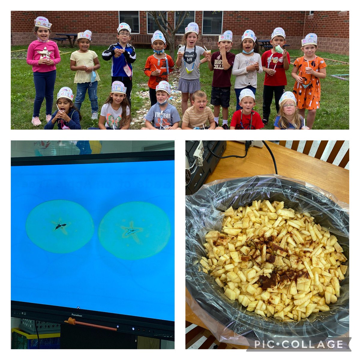 FHRsFABFIRSTIES's tweet photo. 1st graders loved learning about the function &amp; parts of plants.  We applied our learning with a focus on apples and had an Apple Day!  Making applesauce was a big hit! https://t.co/7BXVnnDLu6