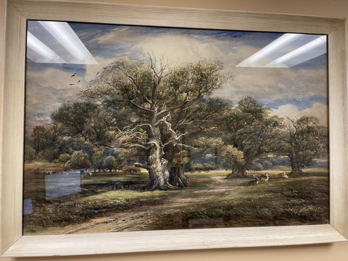 Bryn Morgan Williams tweet media