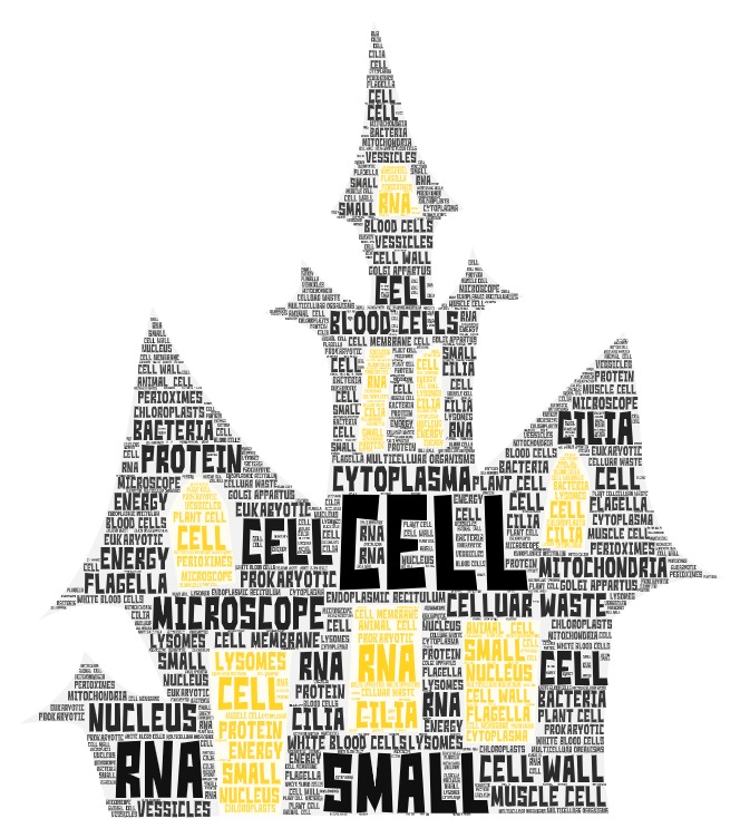 DenisecWright's tweet photo. Nice Job Students #distancelearning #wordcloud #unittwo https://t.co/EodE5aAnOs