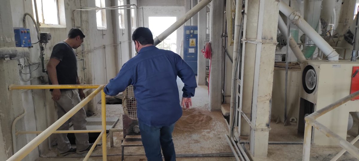 Conocí el Molino Bajo Hondo, en la Ciudad de Gral Daniel Cerri, desde 1993 tienen una producción diaria de 1200 bolsas de manera casi artesanal y viene en aumento este último tiempo a partir del consumo en la sociedad. su staff es de 30 operarios y administrativos.