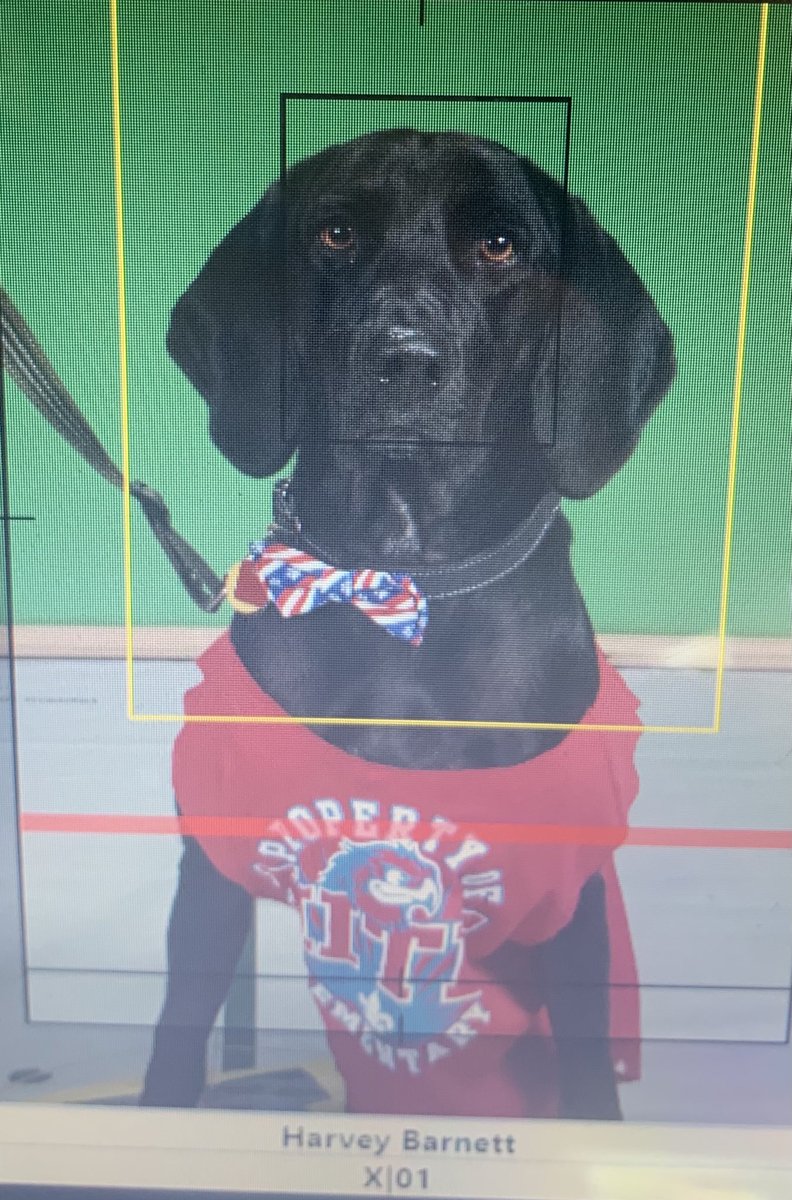 Hite Elementary tweet media