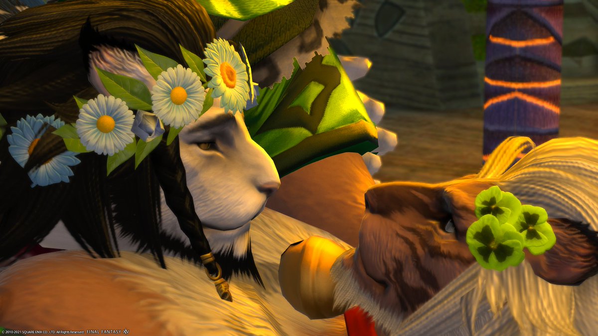 SinTheHunter1's tweet photo. He wants to sleep on meโค๏ธ๐๐ค#Hrothgar #FFXIV #cmtool #GPOSERS https://t.co/ilsTySRjWb