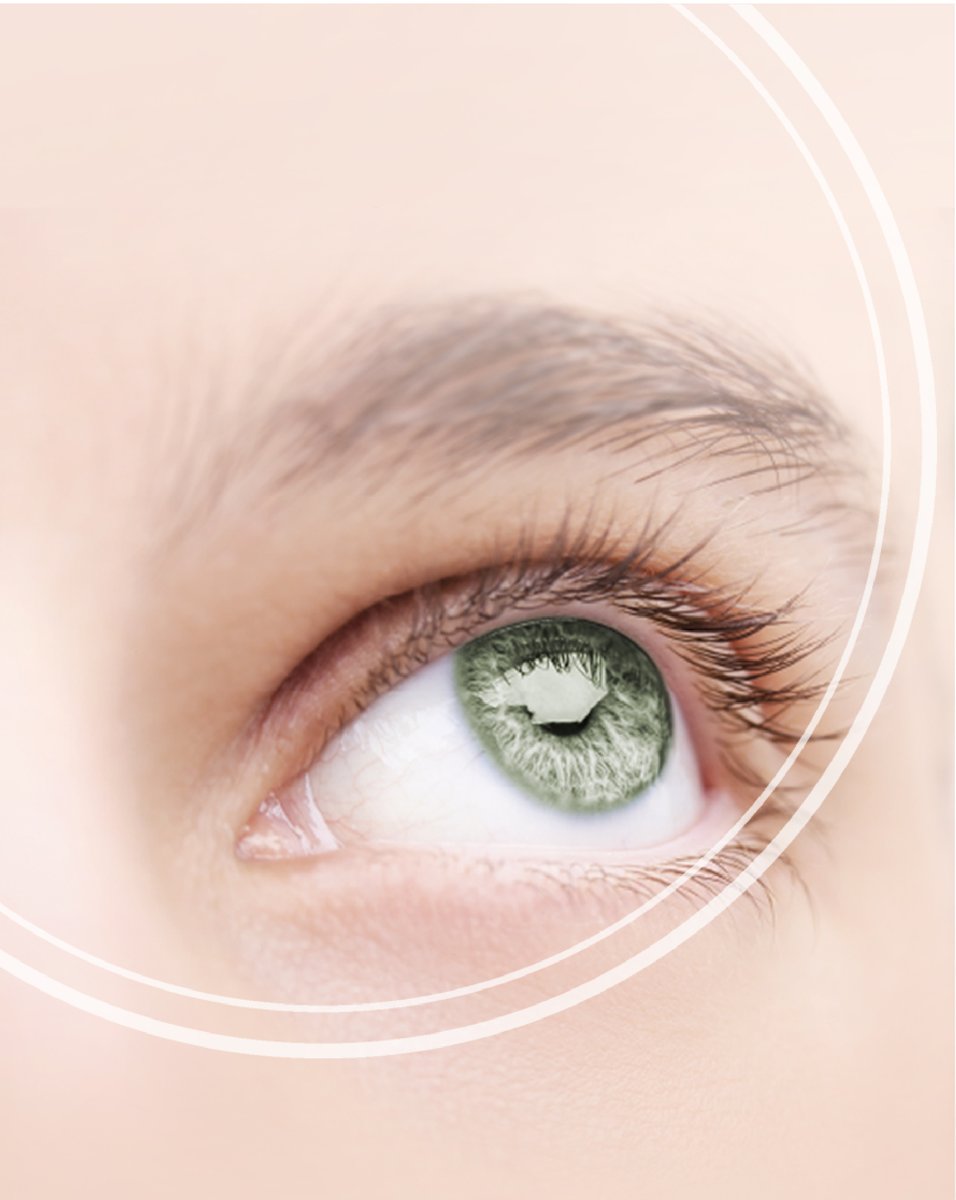 KestrelO's tweet photo. Did you know that the most common eye colour globally, or iris colour within the ophthalmic world, is brown with approximately 80% of people exhibiting this shade! And the most rare? Well that will be green with only 2% of people around the world having this eye colour.

#eyes https://t.co/CKaoK0FGz8