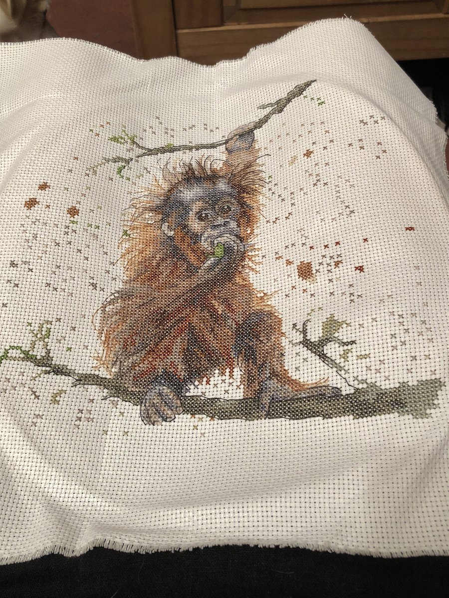 AndreaLipinski's tweet photo. My many different cross stitch projects#hobby#love https://t.co/EFTduGzXyF