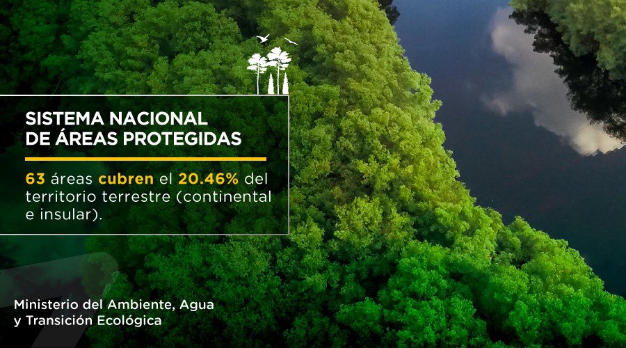EcuadorMAE's tweet image. ¡Hoy celebramos el Día Mundial de Protección de la Naturaleza!
 Ecuador está comprometido con la conservación y el desarrollo sostenible, conoce cómo protegemos la extraordinaria biodiversidad que alberga el país: