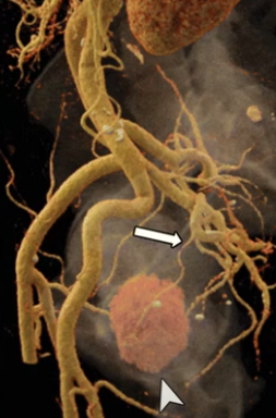 diagnostico911.org tweet media