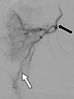 diagnostico911.org tweet media