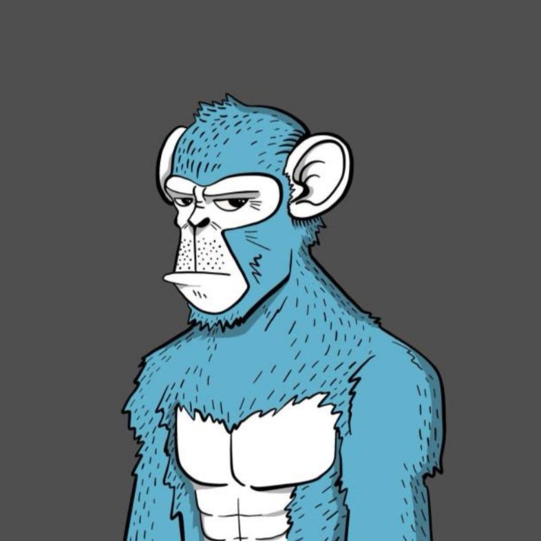 DrCheemsCripto's tweet photo. Primero de noviembre, VAMOOOSH
#LunaApes #EarlyApe @Luna_Apes https://t.co/7nvw4oB7d7