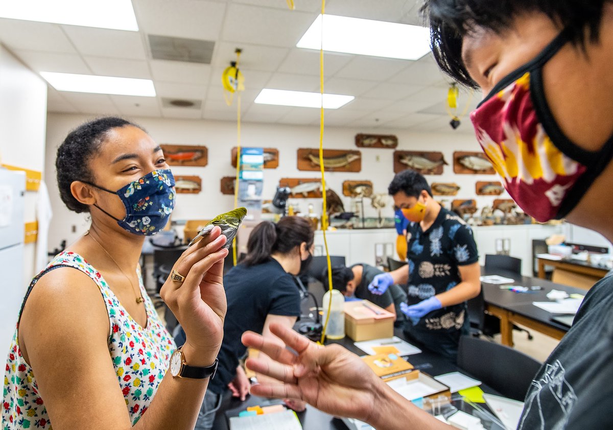 Simone Maddox tweet media