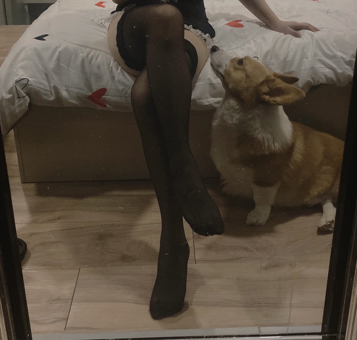 Y28508779's tweet photo. 色批修勾🐶 https://t.co/FblDXsIWHh