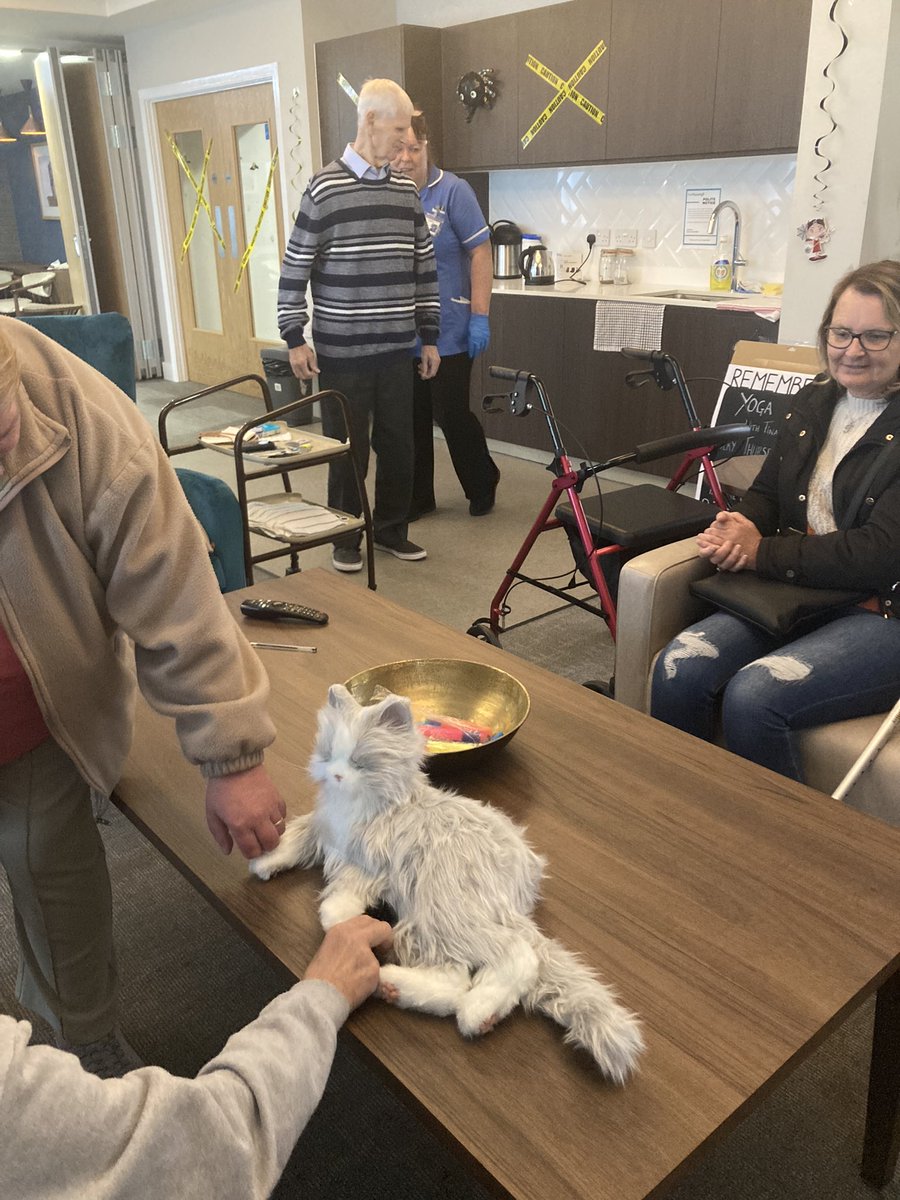 We have two new arrivals at #jacksonGardens 

Which tenants got to know and helped our new furry friends settle in  #dementia #cats 

<a href="/Dawnpspeed/">Dawn Speed</a> <a href="/ForHousing/">ForHousing</a> <a href="/Debbiecooper000/">Debbie</a>