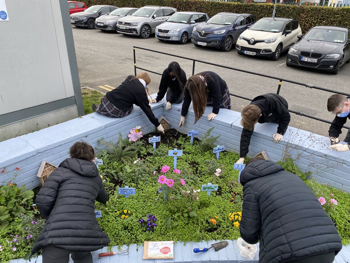 MichelleMc_Cabe's tweet photo. TY students planing their pollinator friendly bulbs in the school garden🌱🌱 @hfcsrathcoole @GaisceAward #BulbsForBees #Gaisce #greenschools #beethechange #hfcs https://t.co/c2FIdsKWeS