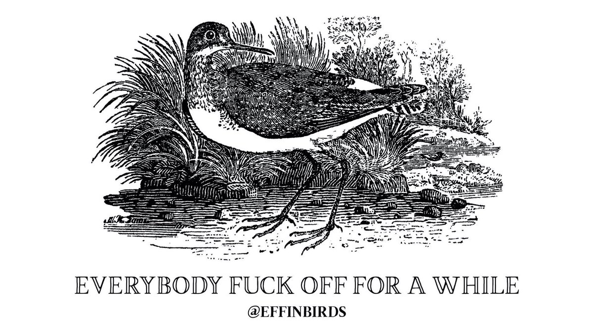EffinBirds's tweet photo. https://t.co/sgw2d9UnFF