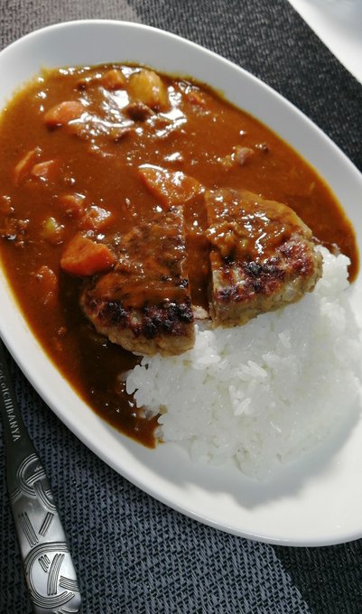 ハンバーグカレーだ( ゜Д゜) 