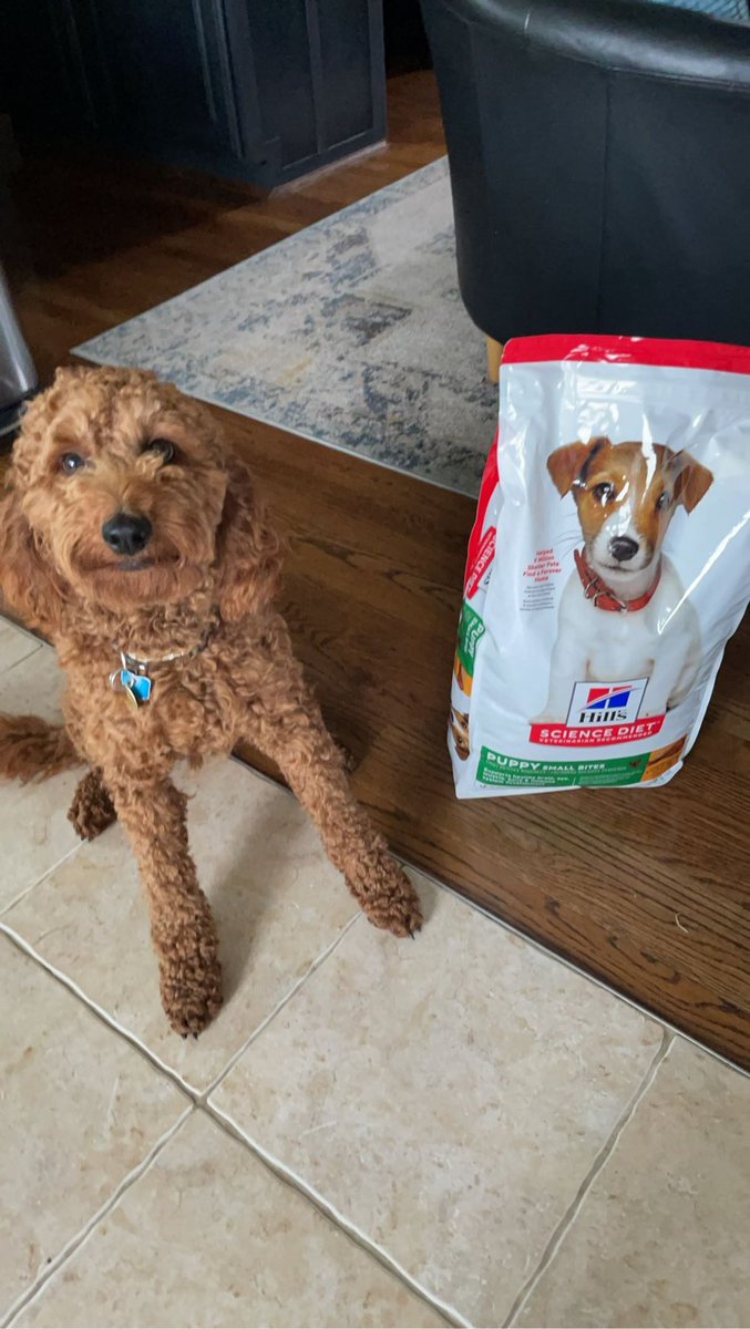 Her last bag of puppy food 🥺