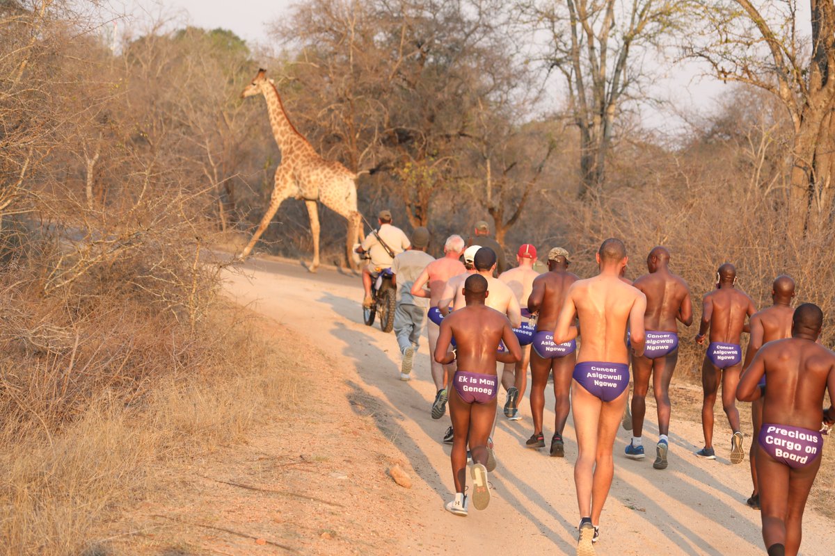 Daredevil_Run's tweet photo. Kruger National Park, Skukuza 📍

The purple wildlife warriors are a #Daredevilrun2021 highlight. Here’s to the team of game rangers dressed in nothing but purple speedos taking a run on the wild side through Skukuza in the Kruger National Park. @SANParksKNP https://t.co/E4srDDUkTJ