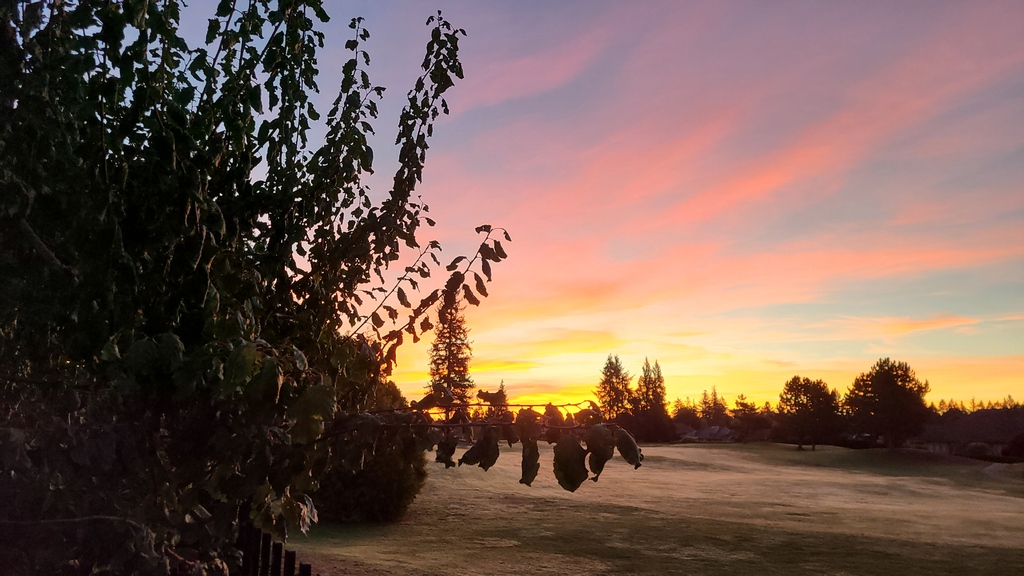 Good morning my friends! Wishing you a wonderful day.