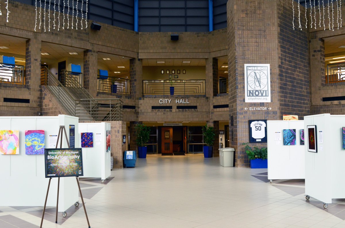 🔬🎨 BioArtography is thrilled to be <a href="/noviparks/">Novi Parks</a> October atrium artist! What a lovely space to exhibit our microscopic art! If you are in the area stop by &amp; check it out or visit our full collection any time at bioartography.com!

#supportscience #stem #steam #bioart #sciart