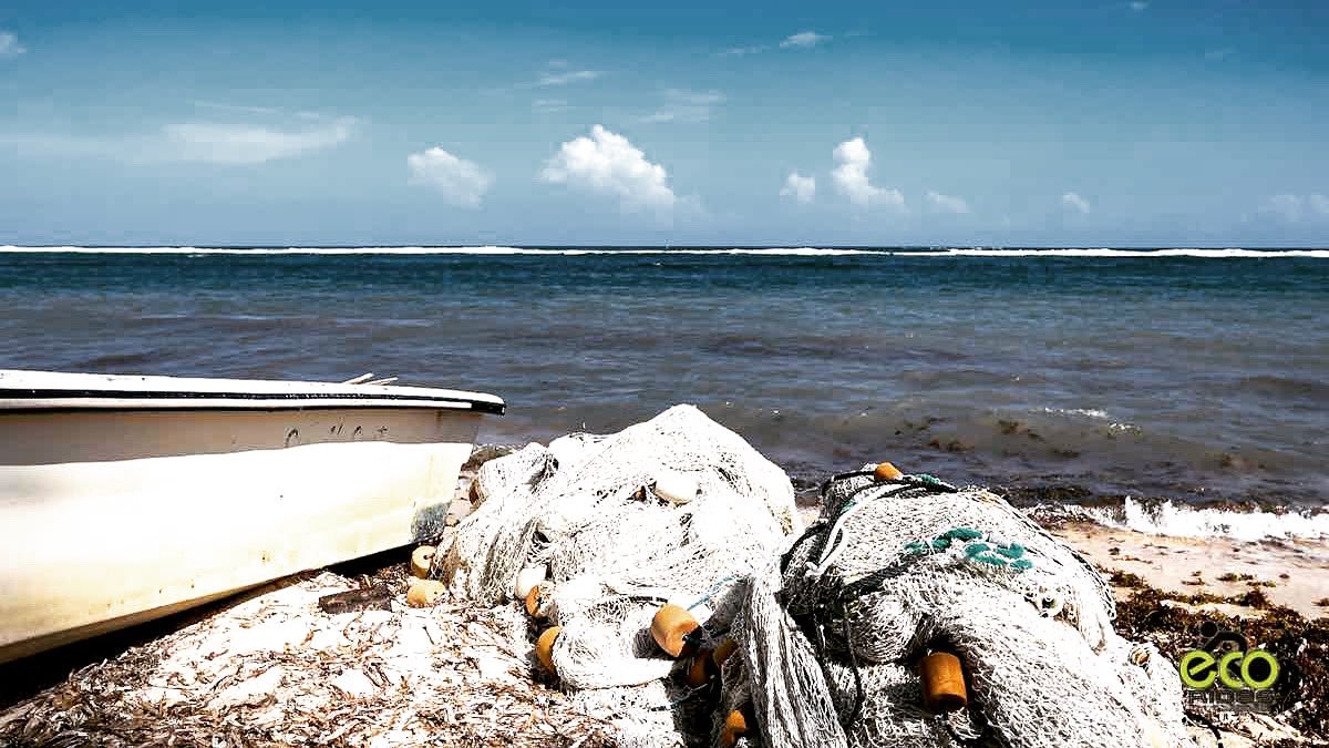 Fishing was once life on this side of town. #fishing #caymanfishing #sciene #thelocalexperience 
#ecoridescayman #letsride #grandcayman #caymanislands
#biketoursincaymanislands #thingstodocaymanislands #caymankind #ecotours #bicycletours #beautifuldestinations #earthpix