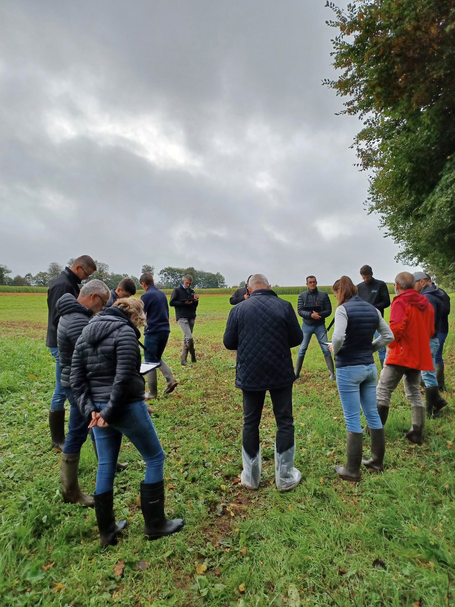 MARTINYohann1's tweet photo. Aujourd'hui c'est visite de la station de kerguehennec avec l'équipe ruminant de #sandersbretagne, échanges sur les itinéraires culturaux en bio pour vaches laitières. @Simonsan56 @Avril https://t.co/FTzVuWmbWZ
