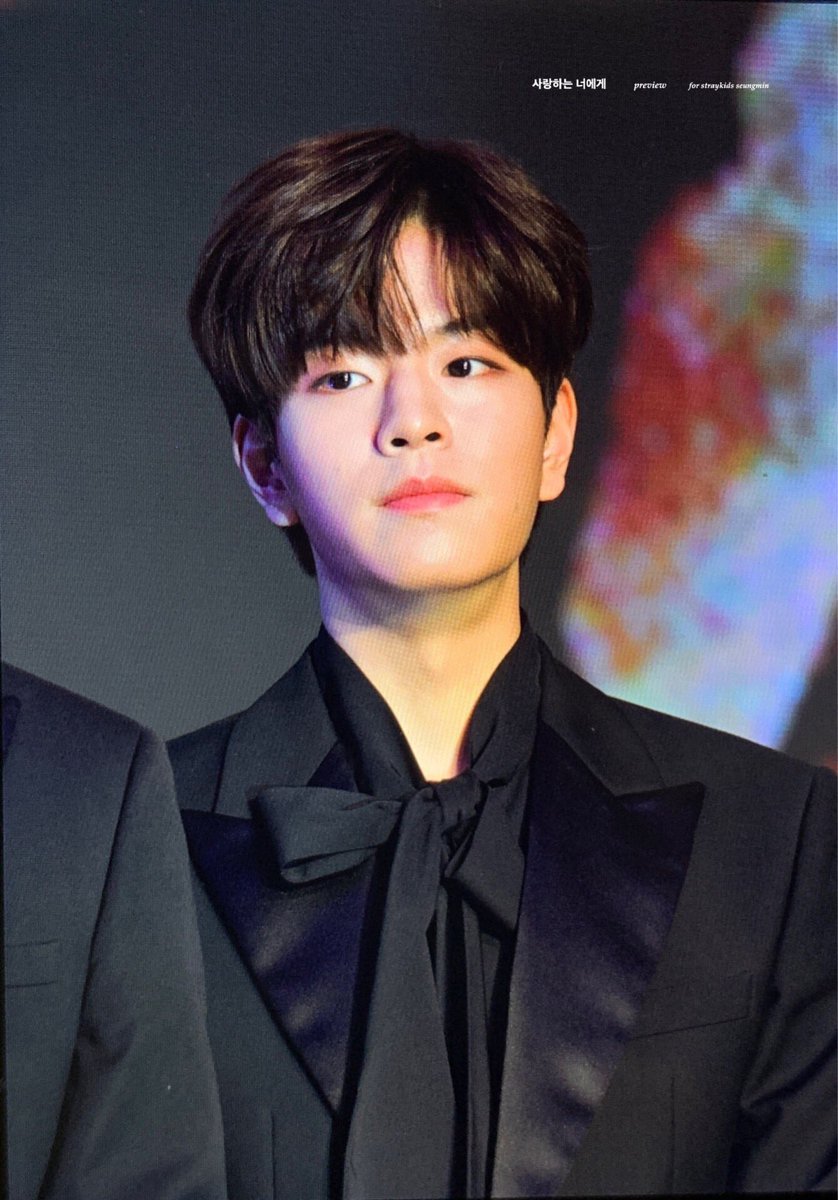 kim seungmin doing things 🐶 (@ksmthings) on Twitter photo 