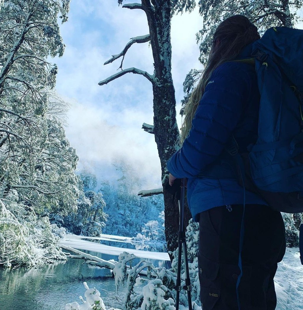 🏔️Pucón... a Tú Modo tweet media