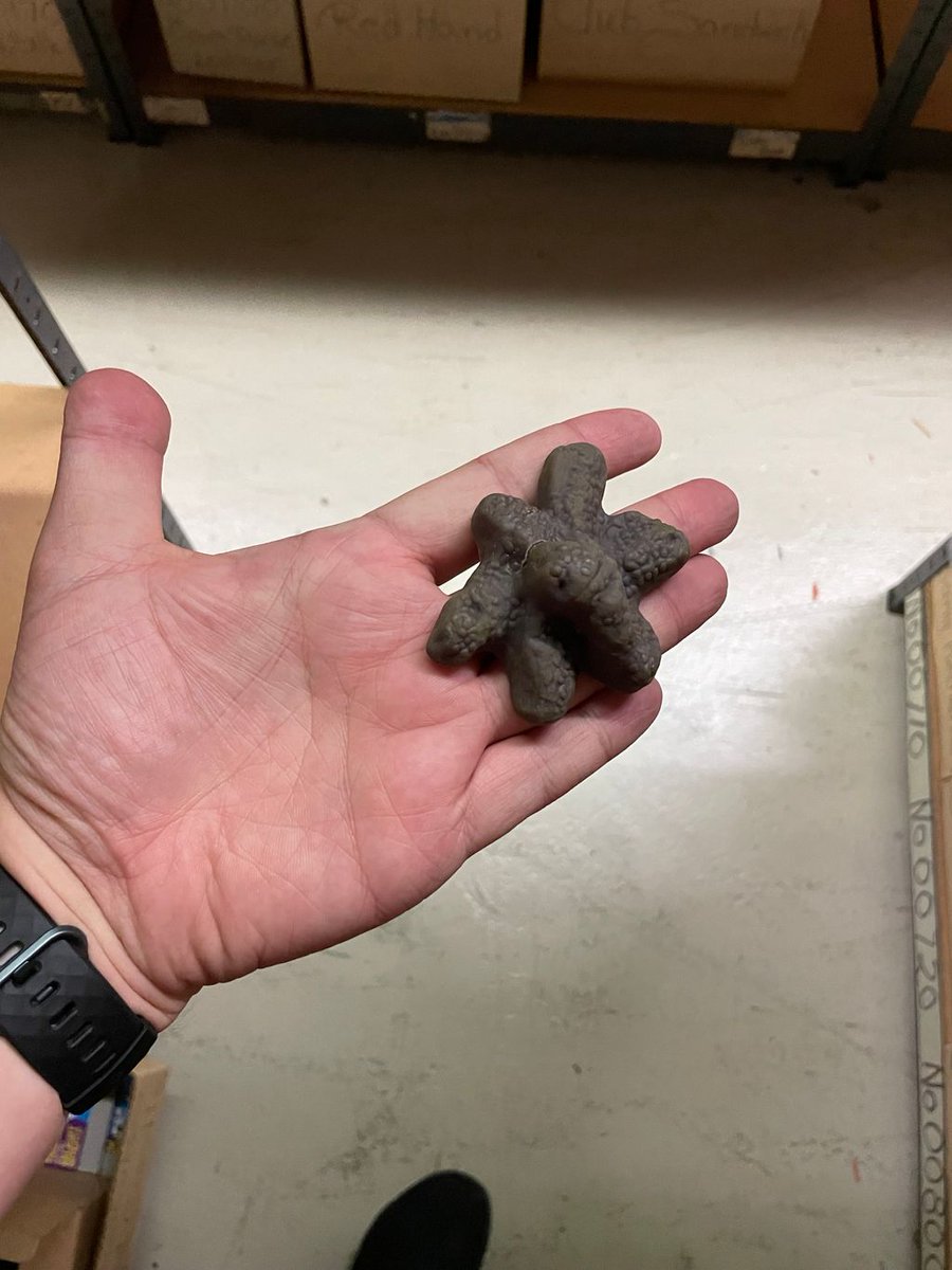 Eeeewww, I will wash my hands after this pic 🧼 - The finest crap on the block!