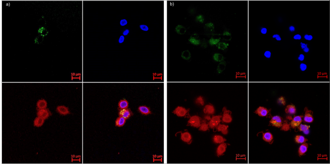 Reymond Group tweet media