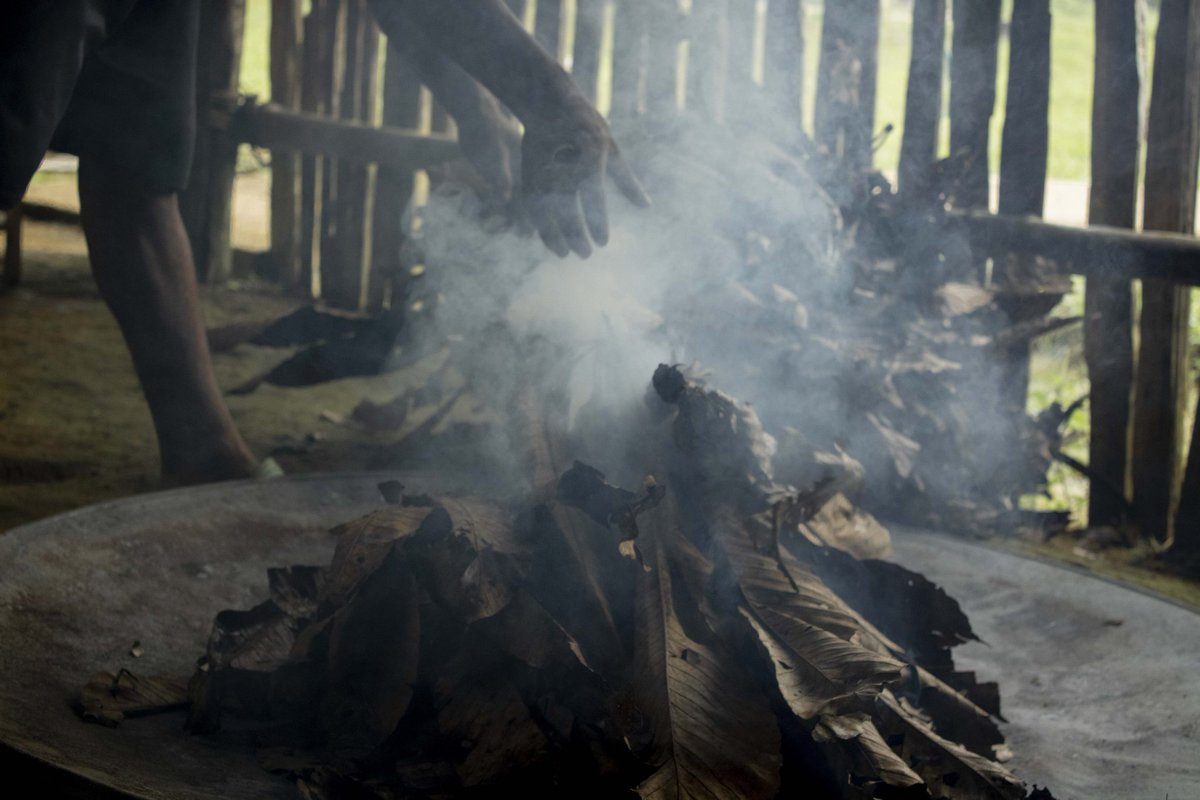 francyzafire's tweet photo. 🔥C E N I Z A S 🔥
Joven de la comunidad del km11 en Leticia-Amazonas, quemando hojas de la palma de Yarumo para la preparación del mambe.
.
.
#mambe #hojas #amazonas #muruy #cultura #medicinatradicional
.
.
Plan Salvaguarda del pueblo Muruy, 2021
🔆🐆📷 @francysilva_22 https://t.co/vqoRXP96KD
