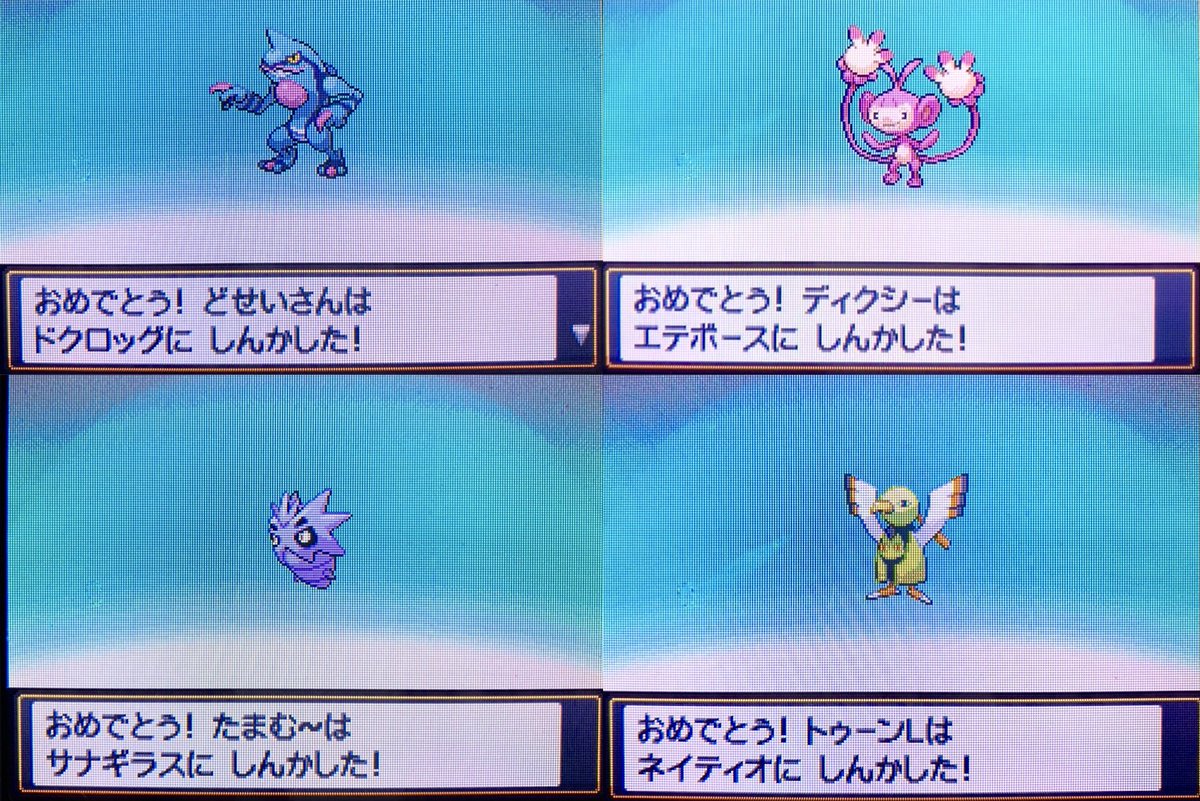 色粘りまとめ Min T ミント