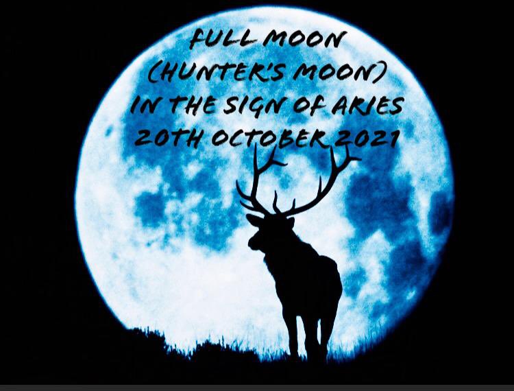 sneh_joshi's tweet photo. Full (Hunter's) Moon 
How Will This Affect Your Relationships?

Find out how all these changes will affect your horoscope in the coming week:

https://t.co/mHI2myTU1t

Call me on 07951 499 880 to book a reading https://t.co/ICUn4XRQEr