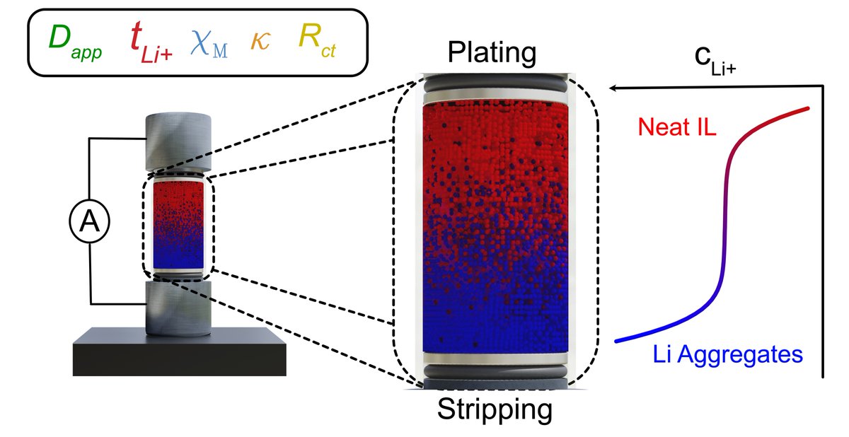 Check out Jack’s paper in <a href="/ChemRxiv/">ChemRxiv</a> on operando Raman microspectroscopy to [1] visualize concentration gradients in an ionic liquid electrolyte (LiFSI Pyr1,3FSI) [2] isolate the “main four” transport and thermodynamic properties [3] detect large clustering chemrxiv.org/engage/chemrxi…