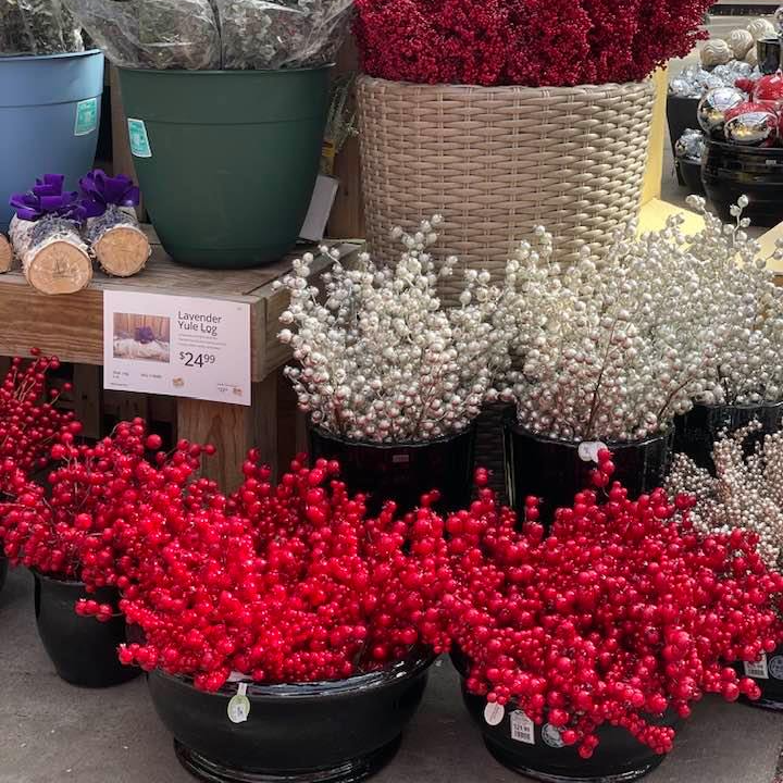 EnglishGardens's tweet photo. Christmas set up at English Gardens starts as soon as fall hits. Our stores are working hard to transform into Christmas Wonderlands for our open house on November 7.
#MakeLifeBeautiful #Christmas #ChristmasSetUp #Holidays #ChristmasOpenHouse https://t.co/WTnBy4Romg