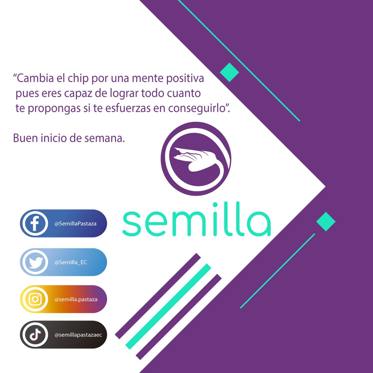 Semilla_EC's tweet photo. Cambia el chip por una mente positiva pues eres capaz de lograr todo cuanto te propongas si te esfuerzas en conseguirlo.
Buen inicio de semana
#SomosSemillaSeremosBosque
#SeguimosSembrando
#AnimoAnimoAnimo https://t.co/06Ooavnpmn